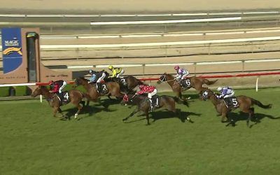 Another Larga Resumes With A Nice Effort (2nd) At Wyong