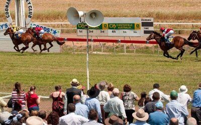 The Stable To Supply A Team Of Runners To The Coonamble Meeting