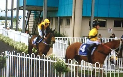 Bend It Like Benny Runs A 2nd At Muswellbrook