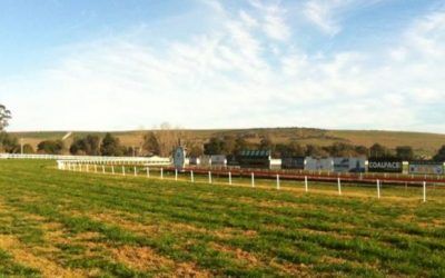 The Lane Stable To Chase More Winners At Muswellbrook