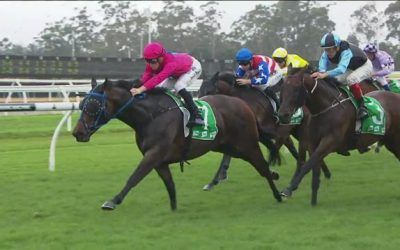 The Stable Picks Up A Couple Of Placing’s At Warwick Farm