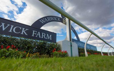 Damien Lane Runners For Warwick Farm On Wednesday