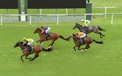 Pirate Jack Wins Back To Back Races At Gosford