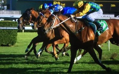 Another Larga Puts In A Super Effort To Finish 3rd At Randwick