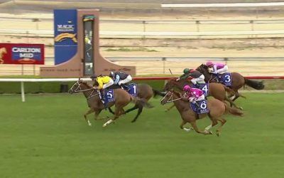 Choice Larga Runs A Nice Race To Finish 2nd At Wyong