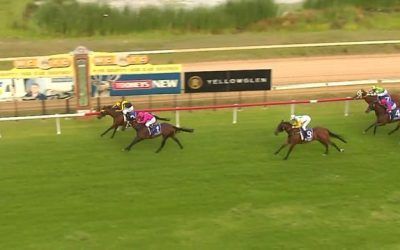 Cervinia Finishes 3rd At Cessnock, First Up From A Spell