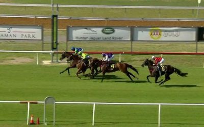 Kanguru Improves To Run A Nice Third At Newcastle