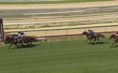 Neon Jungle Runs 3rd At Wyong