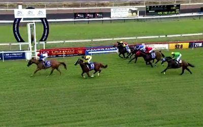 Neon Jungle Wins Over A Mile At Tamworth