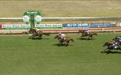 Black Comedy Scores A Maiden Win At Wellington