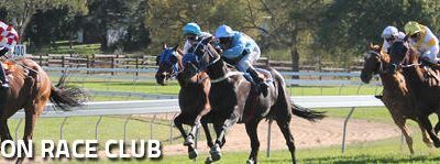 Stable Runners For Wellington On Saturday