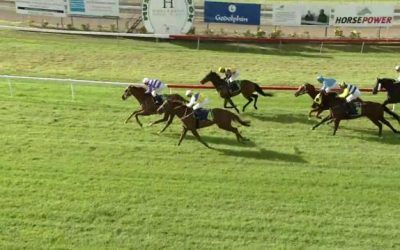 Bend It Like Benny Improves From Recent Runs To Finish 3rd At Muswellbrook