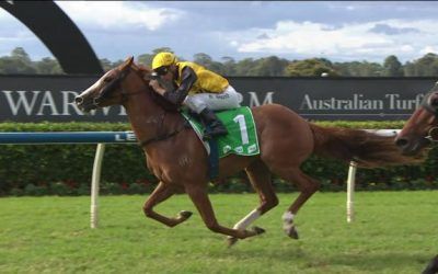 Blake Shinn Combines With The Lane Yard To Score A Warwick Farm Prize