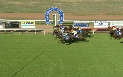 Neon Jungle Runs A Solid 2nd In A Blanket Go At Narromine