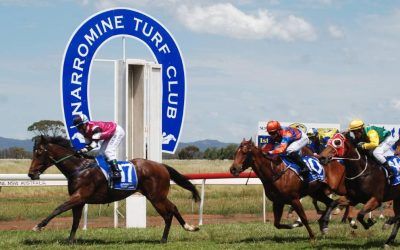 The Stable To Saddle Up 2 Runners To Narromine Races On Sunday