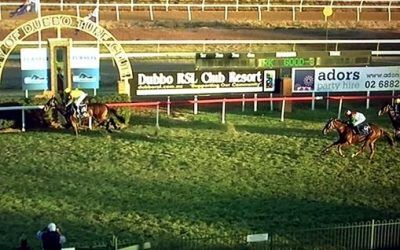 Johnny Roo Boy Runs Third At Dubbo