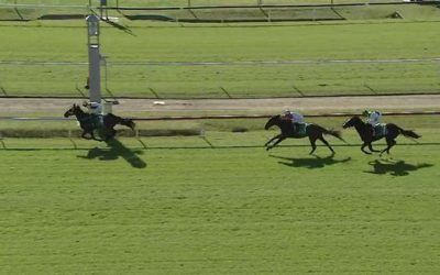 Bend It Like Benny Runs 2nd At Newcastle