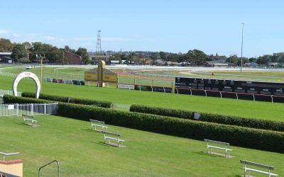 Damien Lane Runners For Newcastle On Saturday