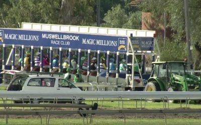 Stable Runners To Compete At Muswellbrook On Tuesday