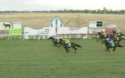 Moysation Runs A Nice 2nd At Big Odds At Gunnedah