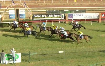 Spinning Gold Runs A Nice Third At Dubbo On Sunday