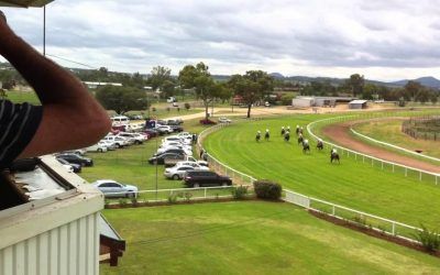 Spinning Gold A Possible Starter At Quirindi On Monday