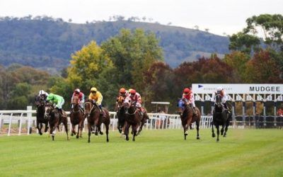 Mudgee Stable Runners For Damien Lane