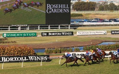 Damien Lane To Saddle Up Helensburgh Ham To Rosehill On Saturday