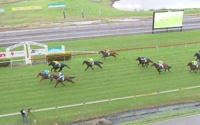 Spinning Gold Dead-Heats For Second At Taree