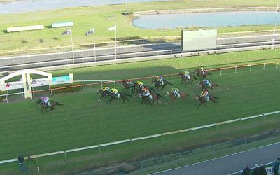 Mr Mcbat Takes Out The Taree Wingham Cup