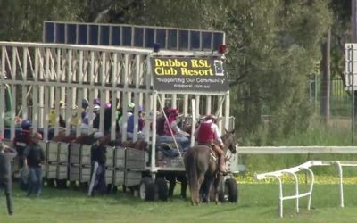 Johnny Roo Boy Heads To Dubbo Looking For 3 In A Row