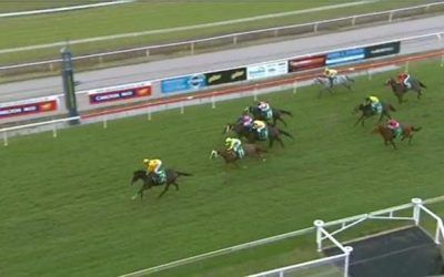 Mosaytion Picks Up Another Win For The Lane Yard