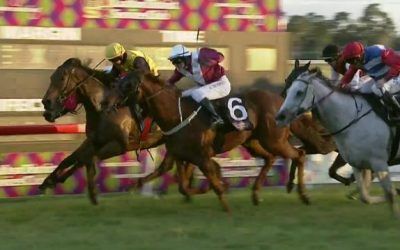 Johnny Roo Boy Takes Out The Sir James Kirby Quality At Grafton For The Damien Lane Yard