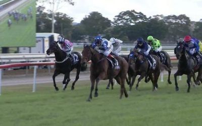 All But Gone Flashes Home Late To Finish 2nd At Odds At Grafton