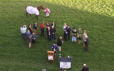 Mr McBat Takes Out The South Grafton Cup Ridden Perfectly By Jason Taylor