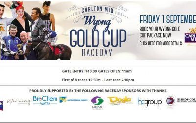 Pirate Ben To Line Up In The Carlton Mid Wyong Gold Cup Over 2100m