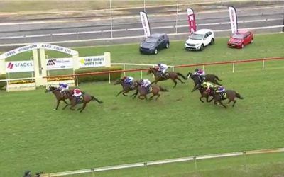 Rastafarian Finishes 3rd At Taree Over 1300m