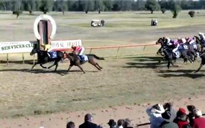 Spinning Gold Returns To The Winners Stalls After A Confident Ride By Marnie Toms