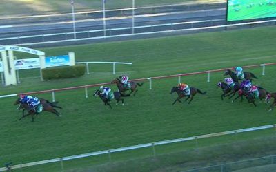 A Pair Of Seconds Completed By A Win By New Recruit Rastafarian In The Last