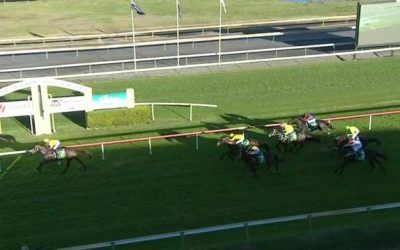 Nissile Finishes 2nd At Taree In The Featured Taree Cup Prelude