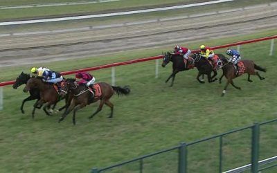 Another Larga Fights Hard To Score A Win At Hawkesbury