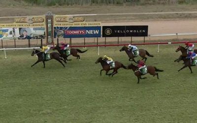 Black Comedy Arrives In Third At Cessnock