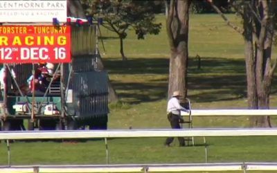 Stable runners for the Tuncurry Foster jockey club meeting on Friday