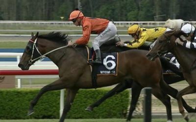 Spinning Gold Runs A Strong Second At Wyong