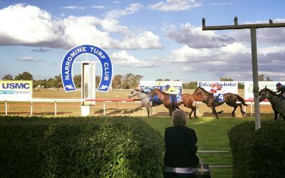 Stable Runners For Narromine On Saturday