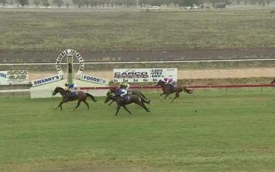 Rastafarian Finishes 2nd At Coonamble Before Rain Postponed The Meeting