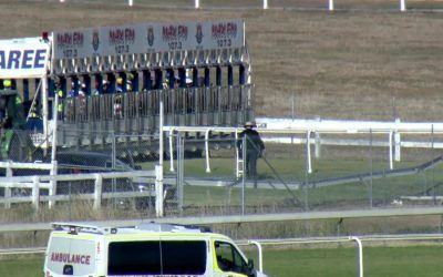 Taree Stable Runners For Non Tab Meeting On Melbourne Cup Day