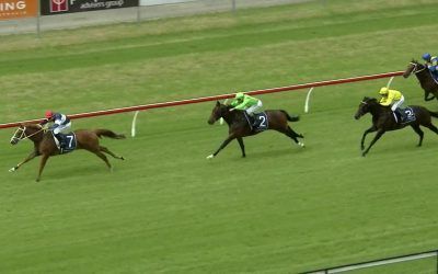 Oakfield Twilight Arrives In Second At Newcastle