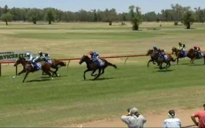 Ayeteem Runs 3rd At Gilgandra