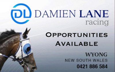 Opportunities Will Soon Be Available To Race/Lease With The Damien Lane Racing Team At Wyong